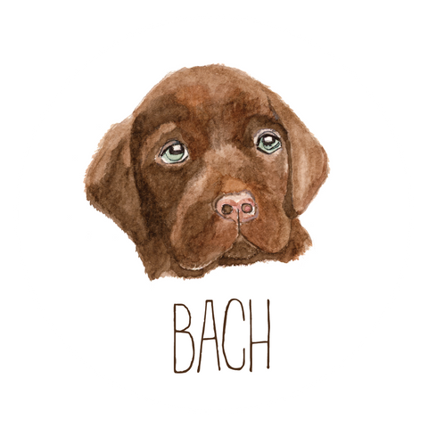 BACH