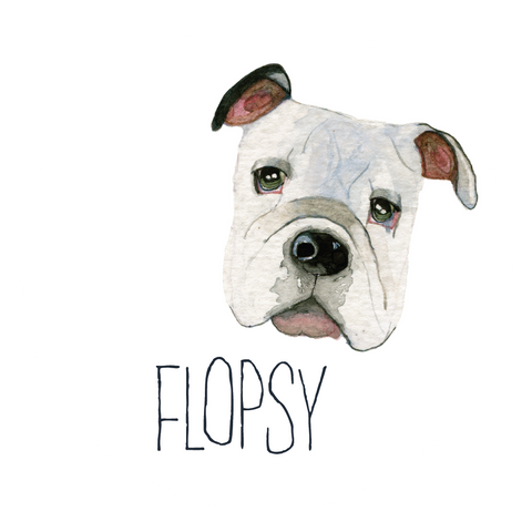 FLOPSY